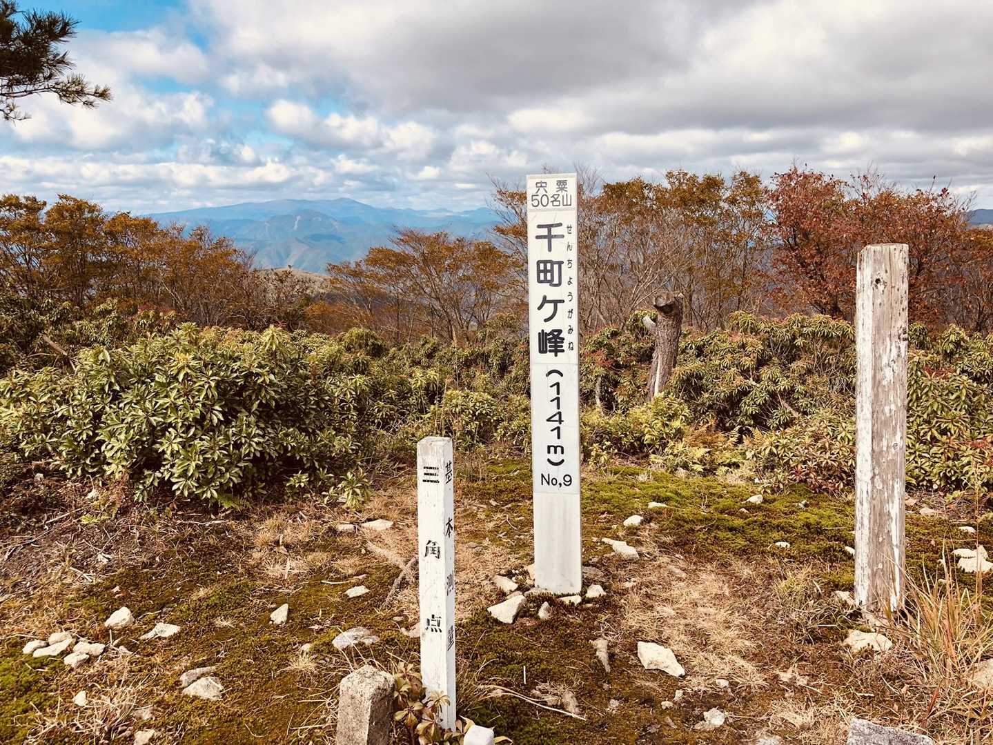 千町ヶ峰 往復コースの写真