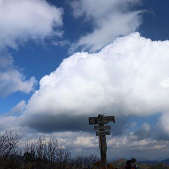 美味しく頂きました😋