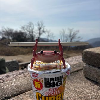ゆーさく