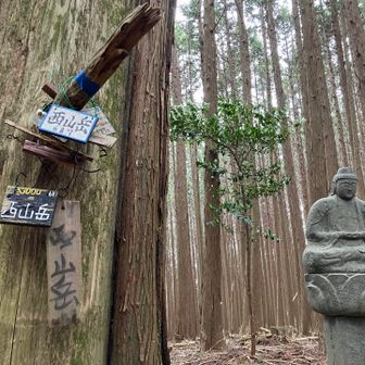 西山岳。途中までずっと林道だった。