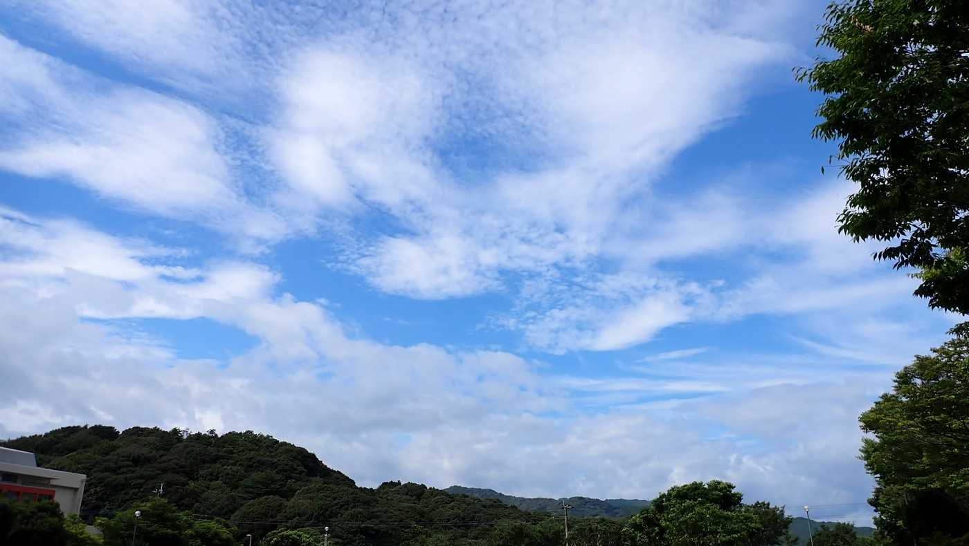 下山したら駐車場は晴れに。
蒸暑く汗が吹き出した。
山頂で出会った方は、中途半端に雨が降ったからと言っていた。