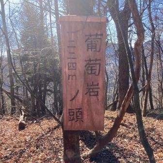 まだ午前中ですが、既にKOされてます。