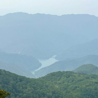 クリオネ