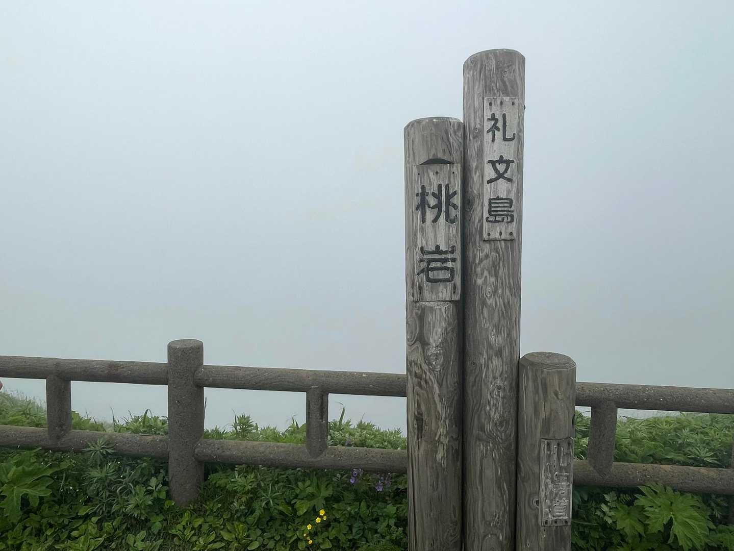 桃岩🪨
全く、全く何も見えません‼️