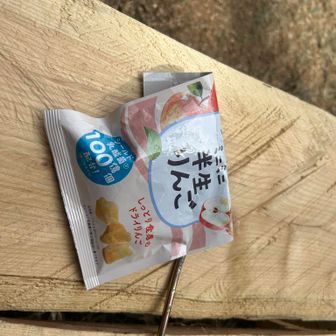 今日はお休みたくさん