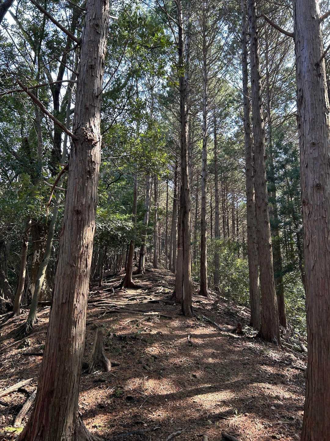 縦走開始