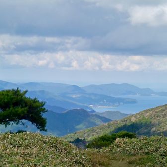 日本海も見えてる
