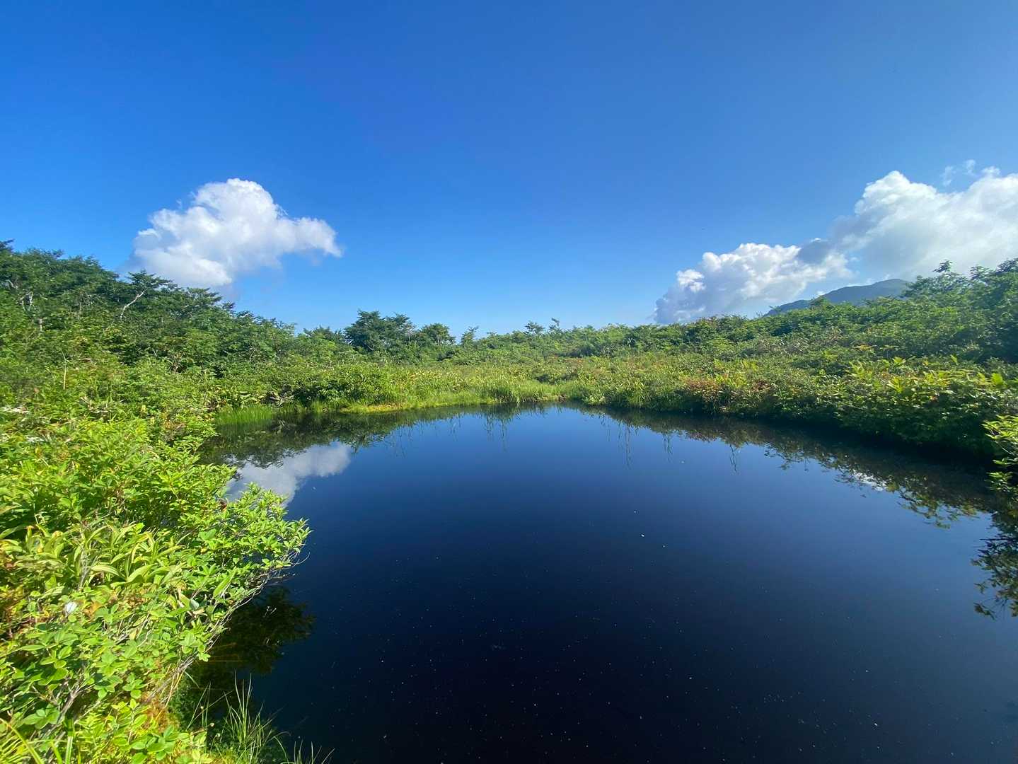 取水口-小白木峰-白木峰-浮島の池 往復コースの写真