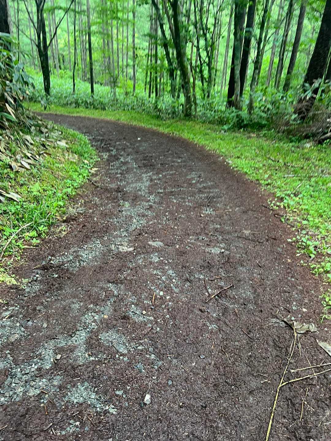 平元新道登山口-平標山 往復コースの写真