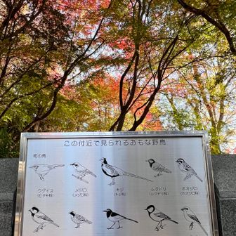 きっと春は賑やか