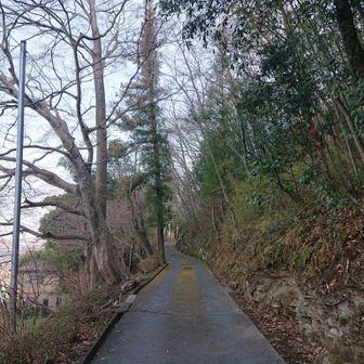 雪❄が無くてちょっとへんな感じ