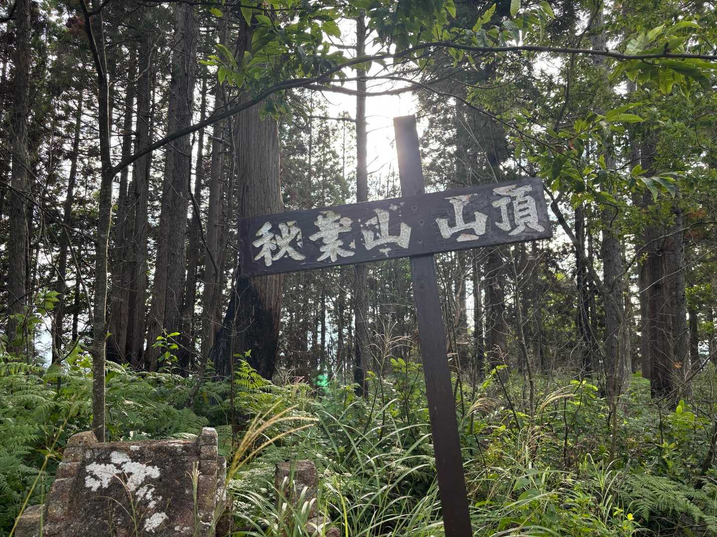 秋葉山 周回コースの写真