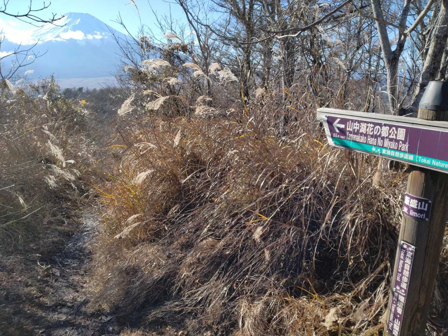 飯森山