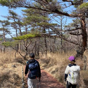 ハードル競走から安心の道へ、