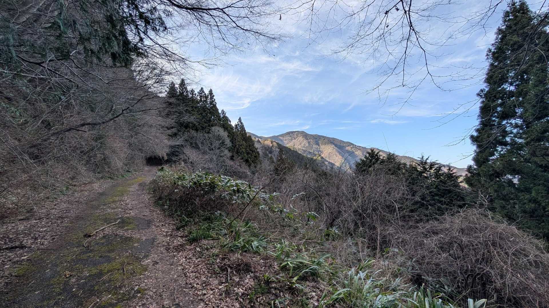 大将陣 往復コースの写真