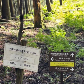 ハッピノタワと言う別れ道。ここから一気に下山