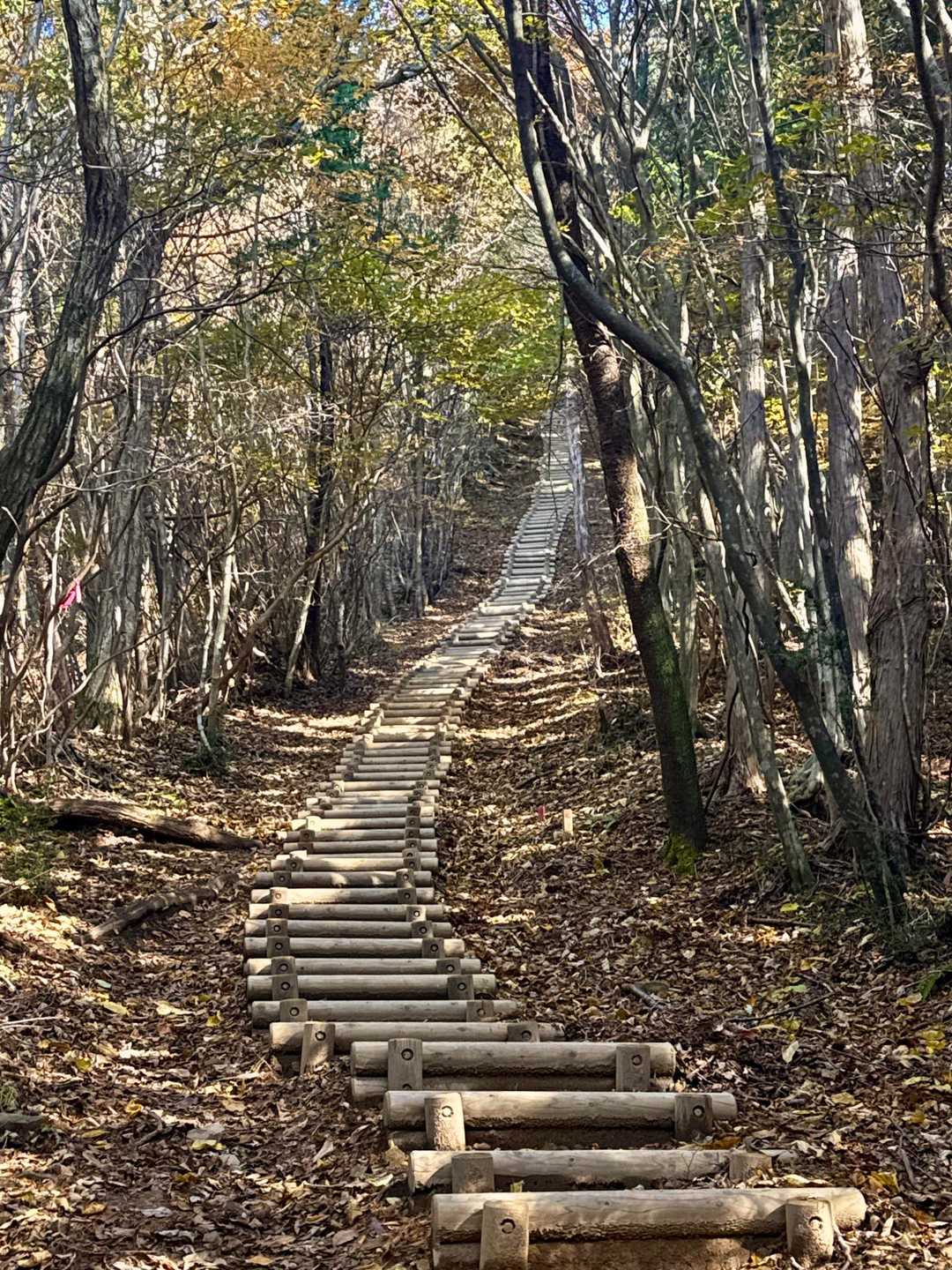 地獄。。いや天国への階段✨✨