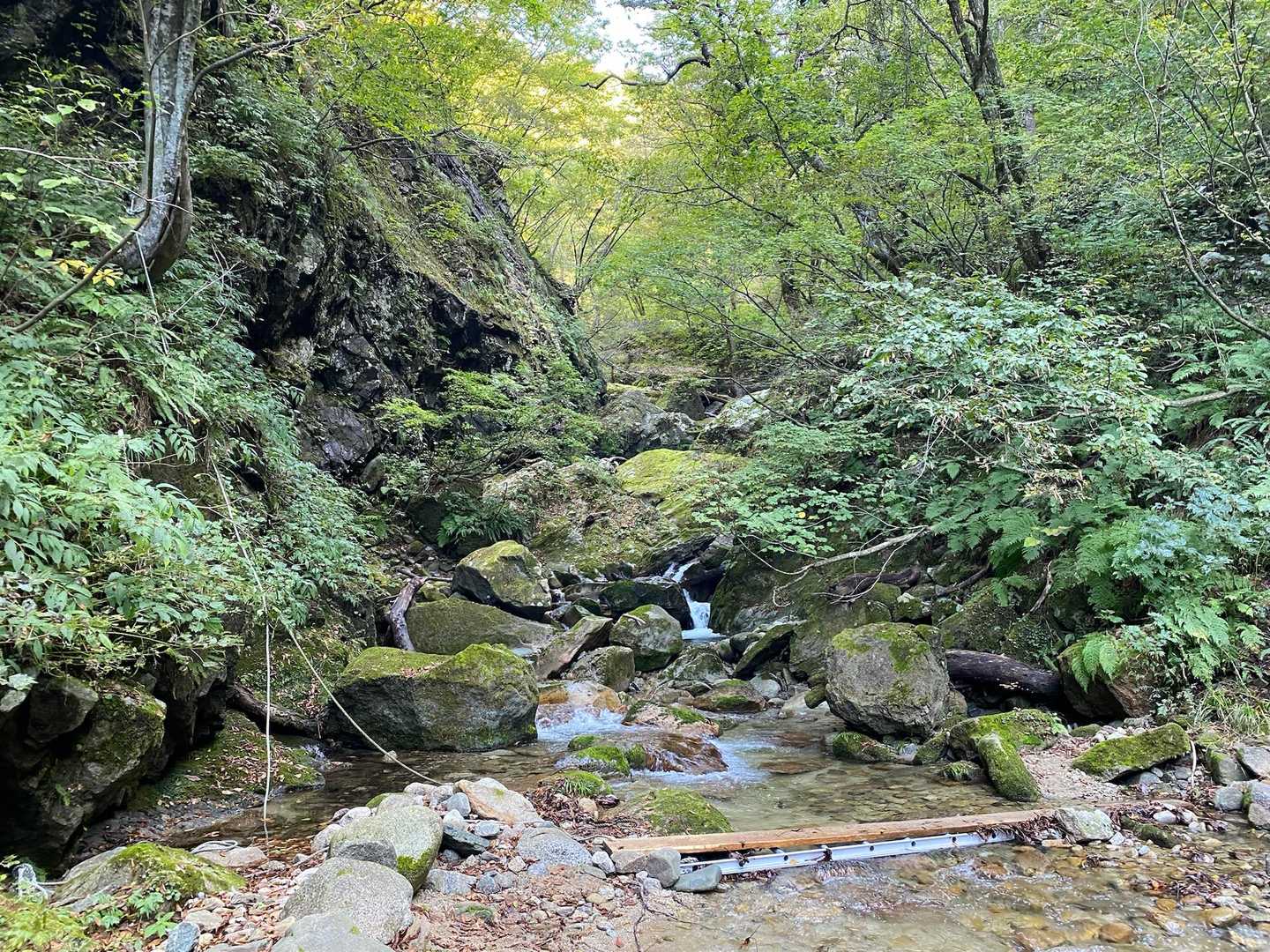 木の橋渡って行きます