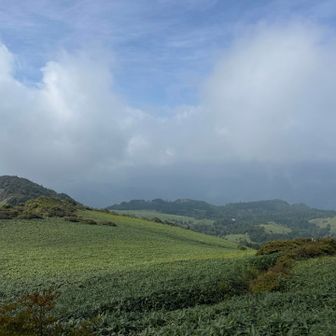 この奥に石鎚山が見えるとのことですが