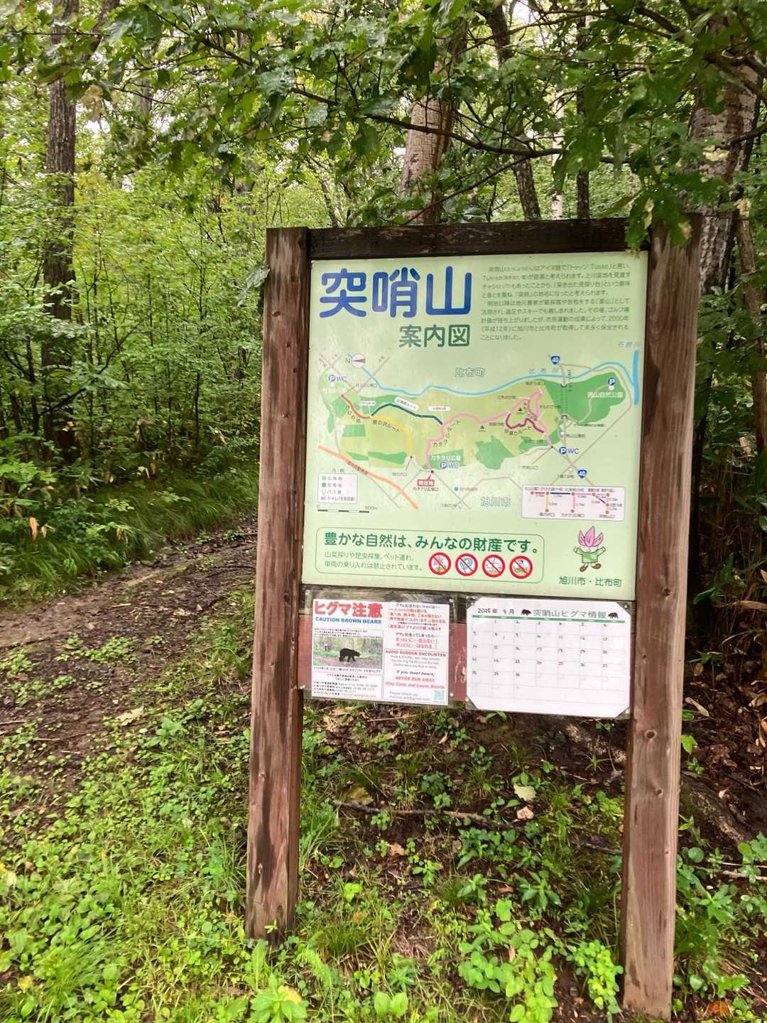 当初は村上山から尾根ずたいに突哨山へ行こうと思ってましたが雨なので最短で登れるカタクリ広場🅿️に移動しました🚙💨　
この山はいろいろなルートがあります☺️ 