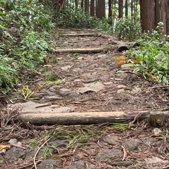 九十九曲、終盤は石畳道