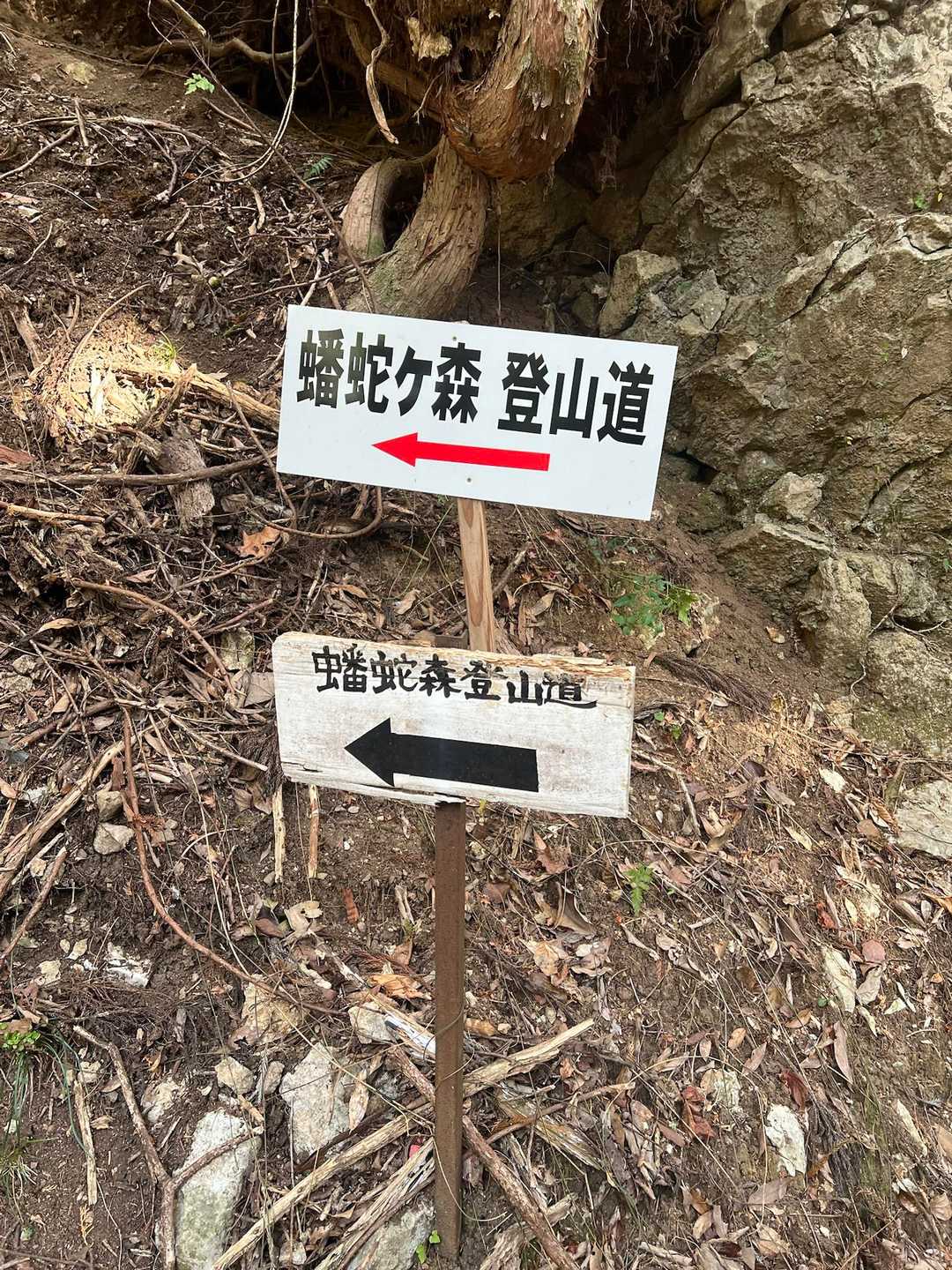 山道へ