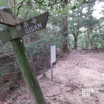 仁王門下の分岐 屋代ルート