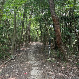 ここから塩尾寺まで結構急な下りが続きます。
逆向きはキツそう
