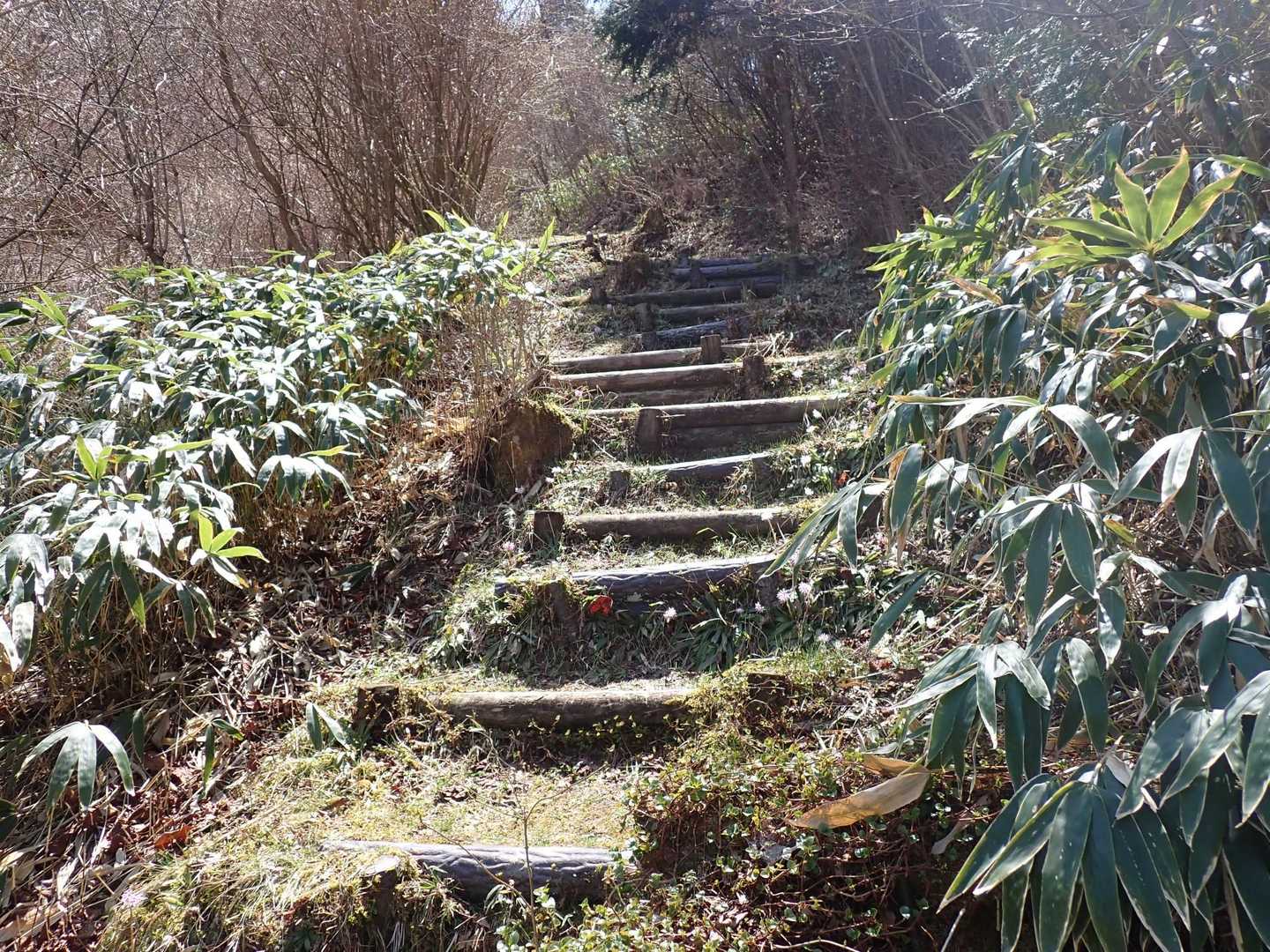 
どんどん登ります