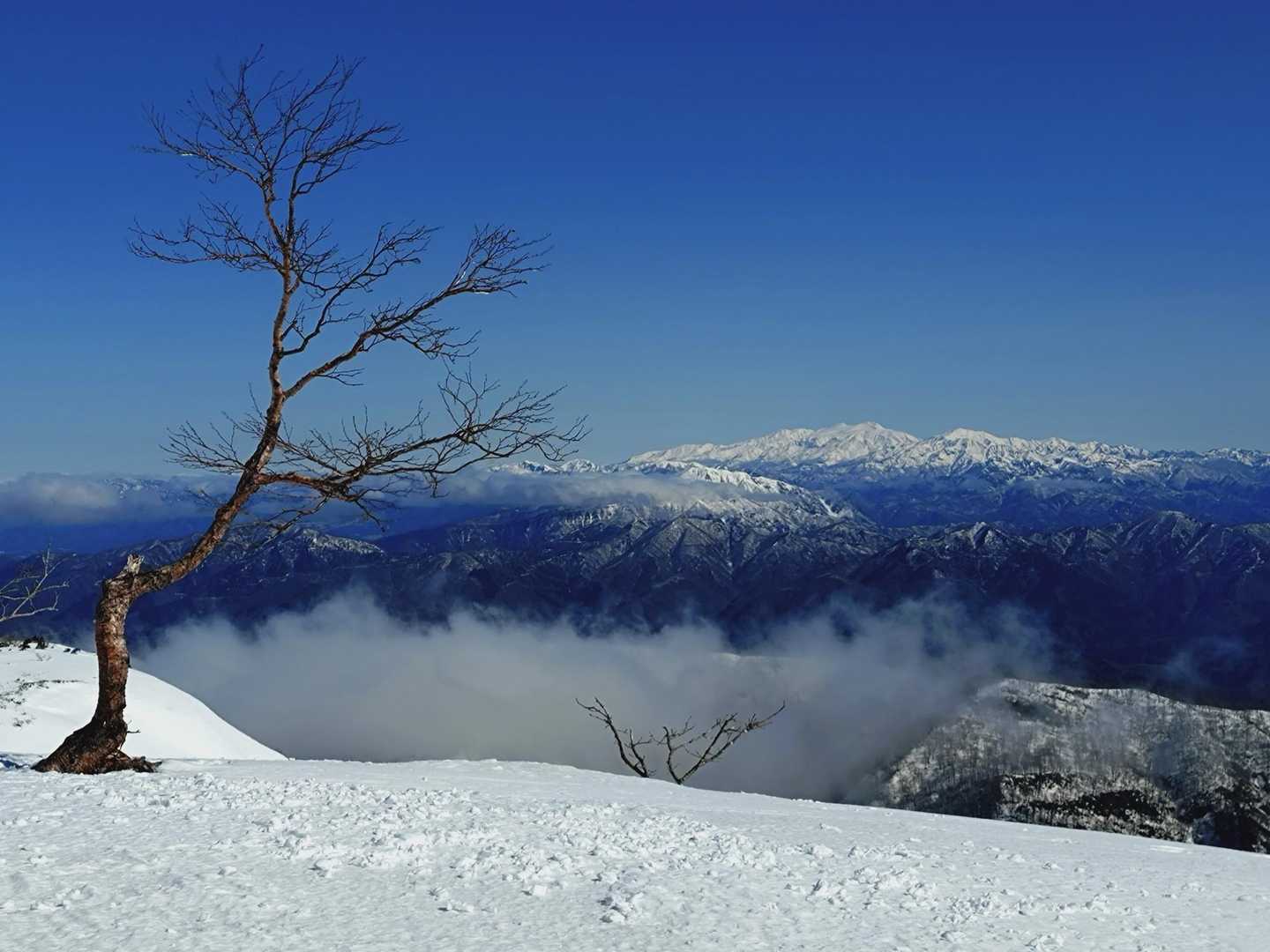 前山以降は常に白山連峰がよく見えました。手前雪山が荒島岳