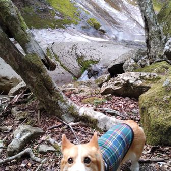 『雪輪の滝』に到着🚩