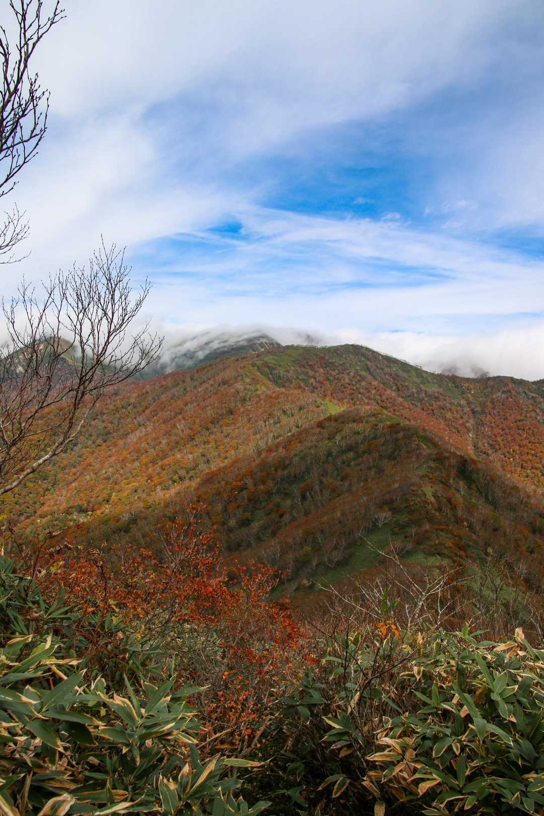三国峠-三国山-三角山-大源太山 周回コースの写真