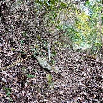 そしてまた疲労する坂道…山頂までもう少しかな。