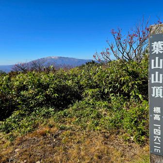 背後に月山