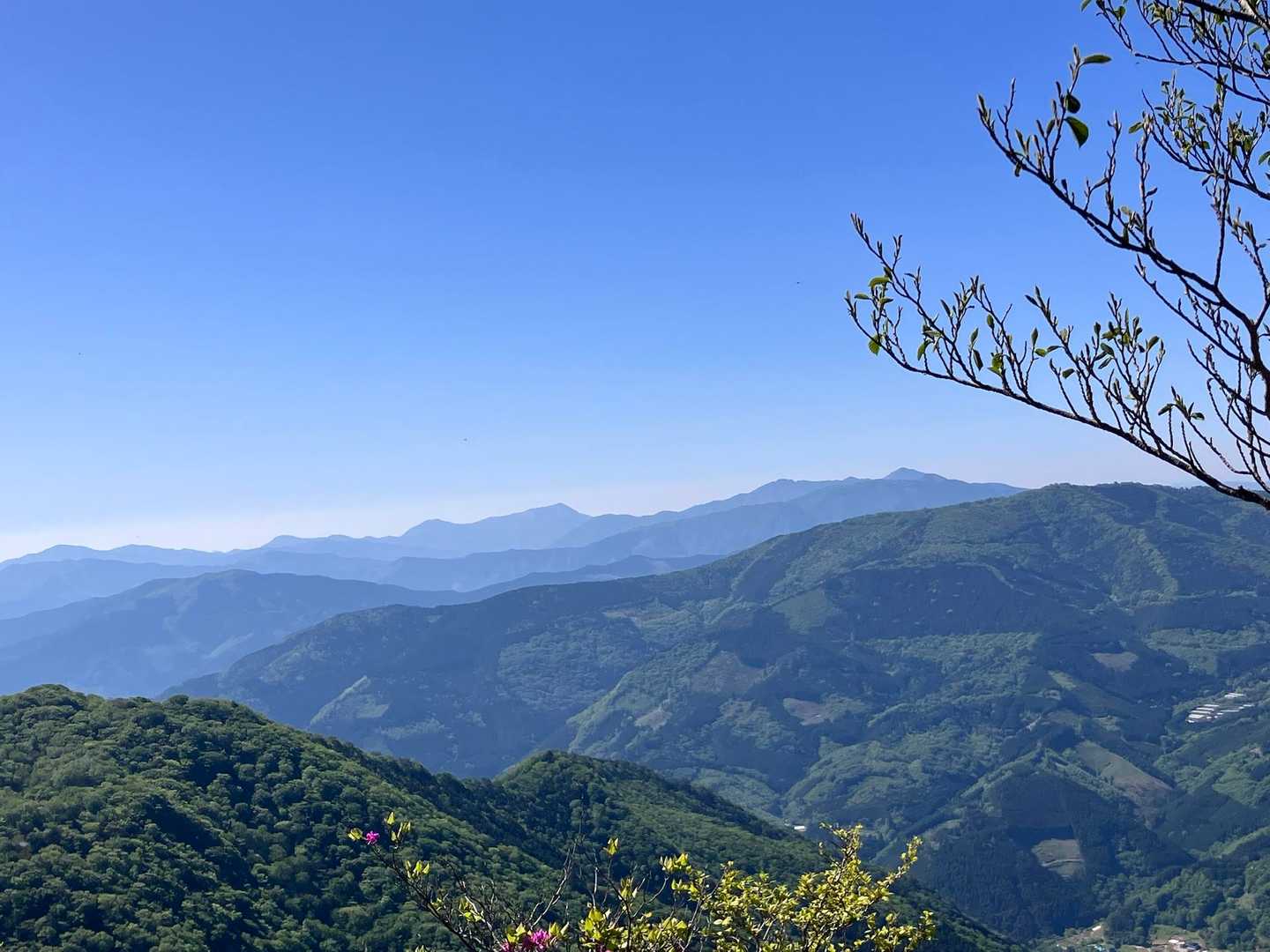 何処がナニ山⛰️か分かりません…でも、この連なりがなんとも言えず…。