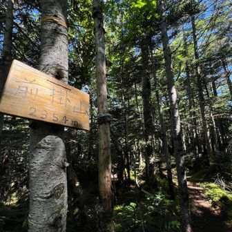 前掛山。ピークのようなところから少し下ったところに山頂標識。
