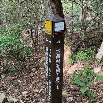 さぁ地蔵谷で摩耶山に登るよ😊