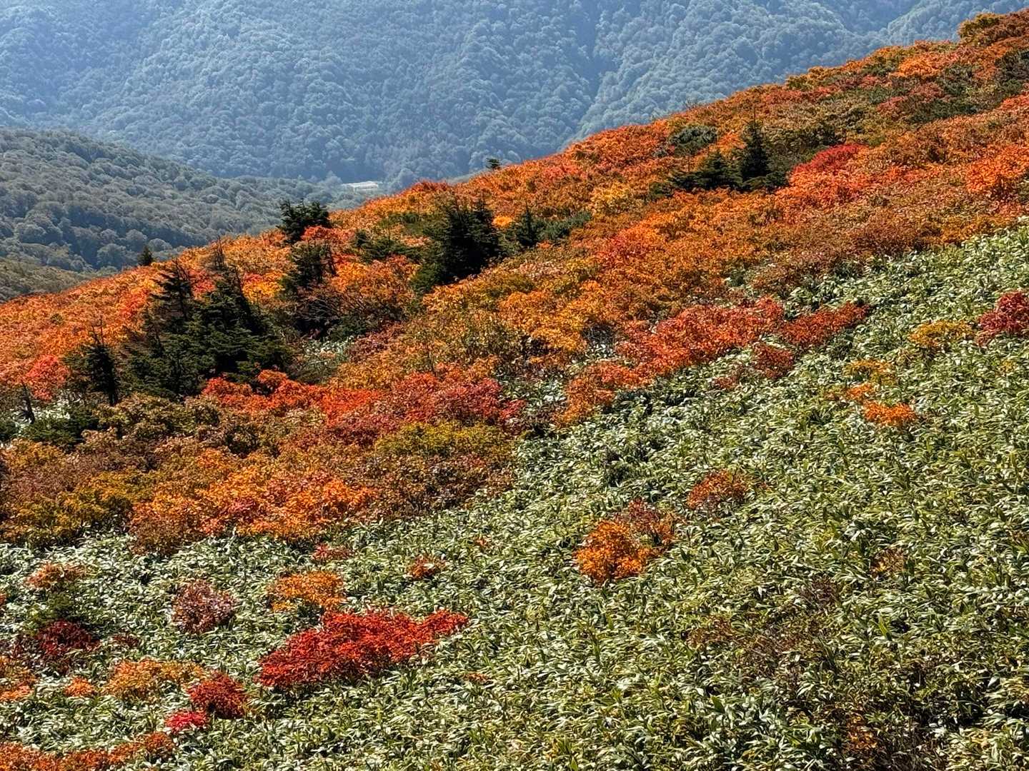 源太ヶ原登山口-源太ヶ岳-大深岳-小畚山-三ツ石 覘標ノ台 周回コースの写真
