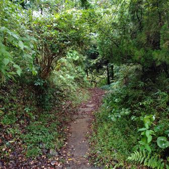 大楠山に向かって山道に入る
昔来た時は、雨上がりで（晴れてたけど）小川のようになっていてメゲたので戦々恐々としていたけど、あまり水は出ていなかった