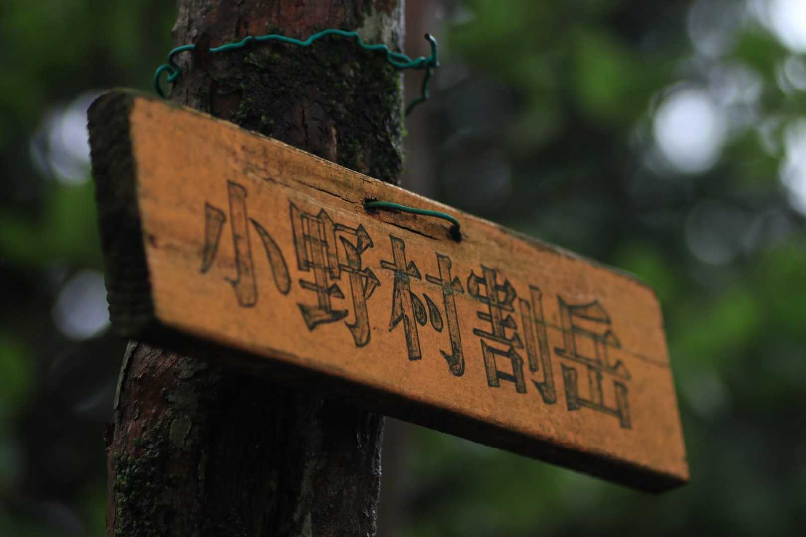 小野村割岳山頂🗻