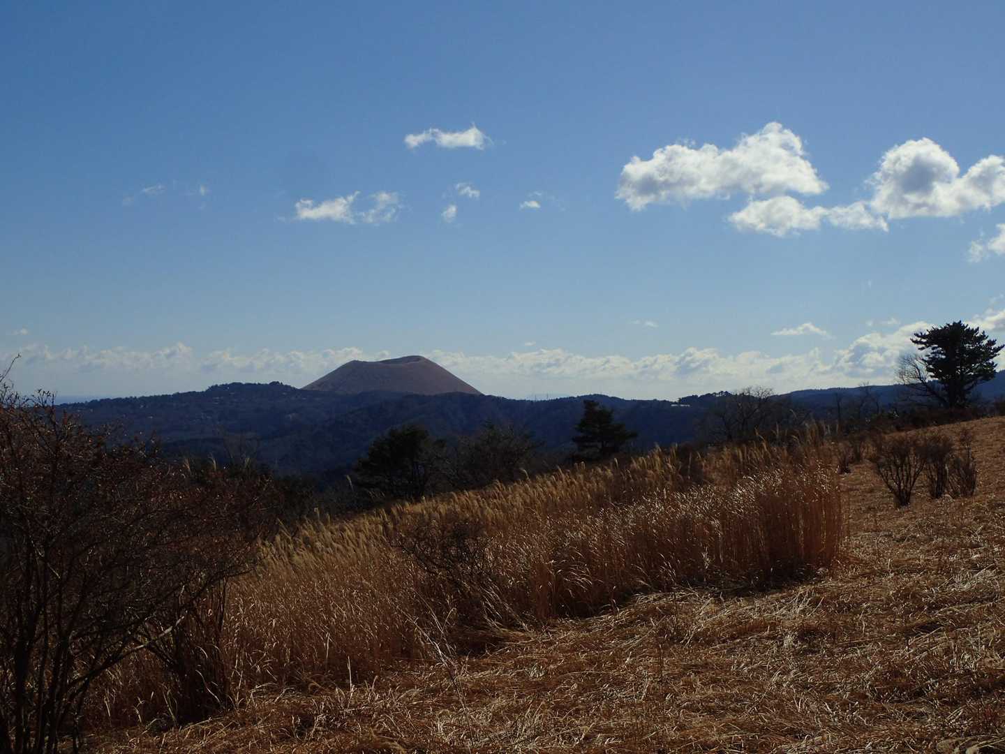 大平山-柏峠 縦走コースの写真