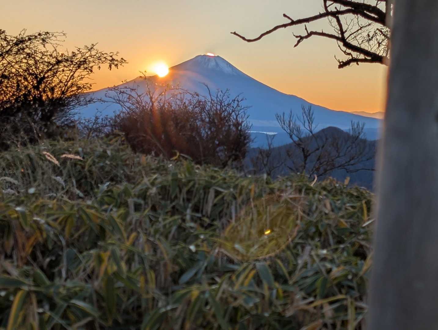 大倉バス停-観音茶屋-堀山-花立ノ頭-塔ノ岳-日高-竜ヶ馬 往復コースの写真