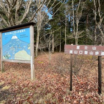 ここからスタート。