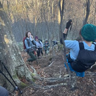 １２月なのに小春日和を越えて暑い🫠