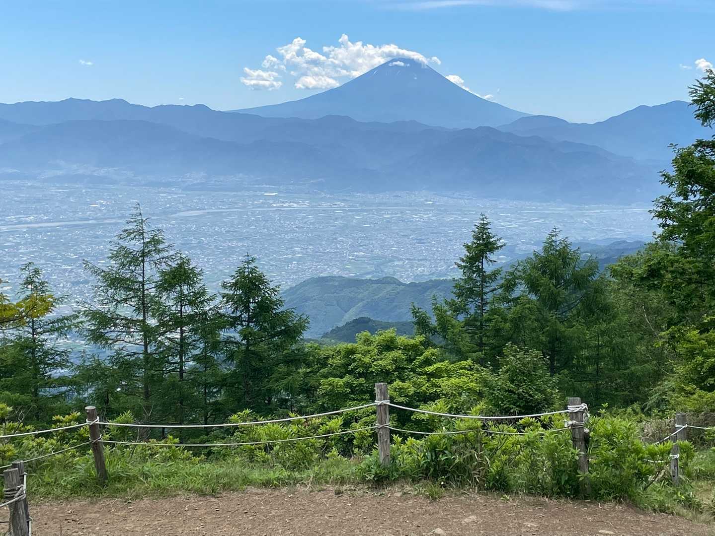 甘利山からの富士山。名物のツツジはほぼ終わっています