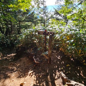 富士見ベンチ
疲れて富士山チェック忘れた
