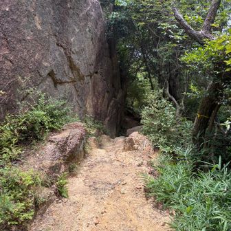 風吹岩には上がらずそのまま岡本駅へ向かいます