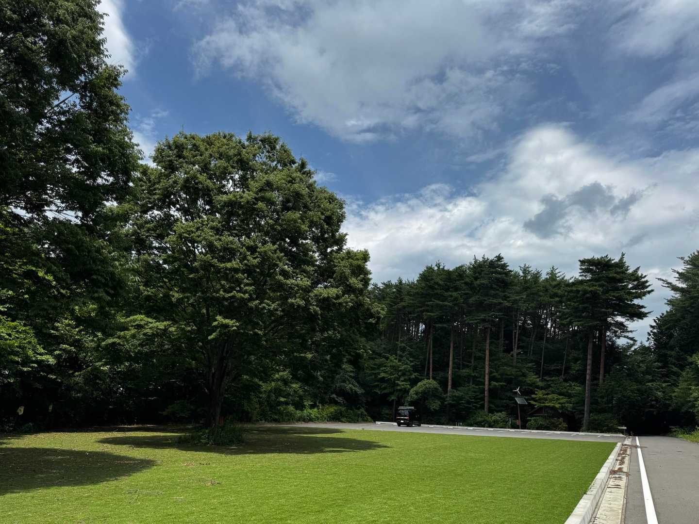 🅿️前には人工芝が広がってました！
🚾入ってませんが、綺麗そうなのあります。
結構暑くなってきましたが、、、