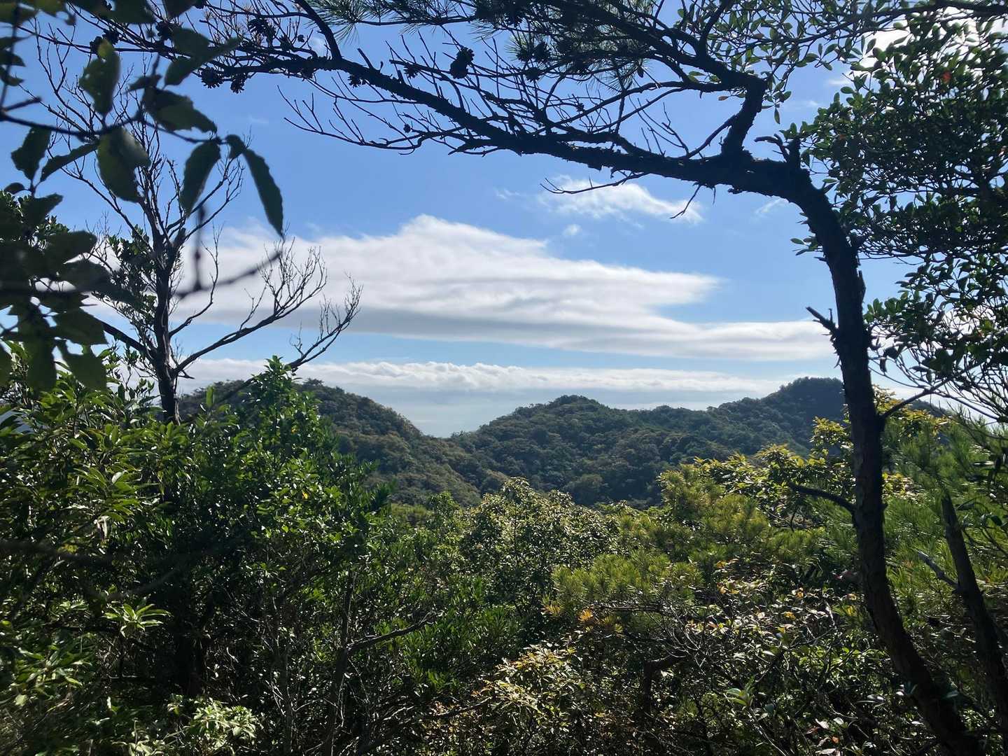 小麦ヶ岳-蕎麦ヶ岳 往復コースの写真
