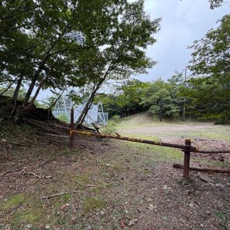 林道を歩き耳取山への分岐に戻る。